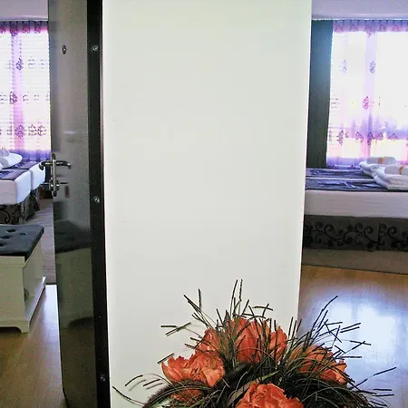 Appartement Belle Apartments-elegance *